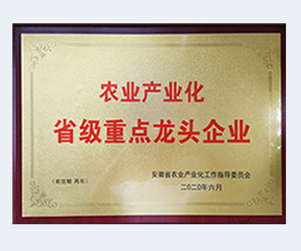 Key provincial leading enterprises in agricultural industrialization
