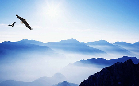 Huilong’s Direction and Vision