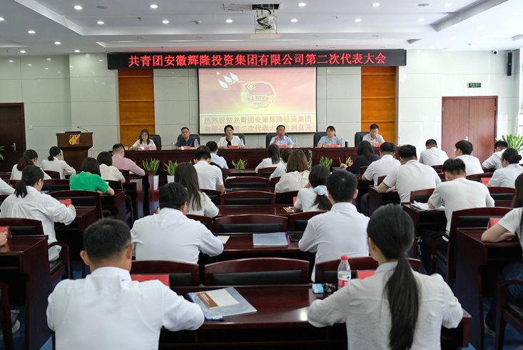 The Communist Youth League Anhui Huilong Investment Group Co. , Ltd. . The second congress held successfully