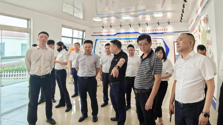 Peng Guangming visited Huilong Modern Agricultural Service Center in Hanshan County and Lujiang County