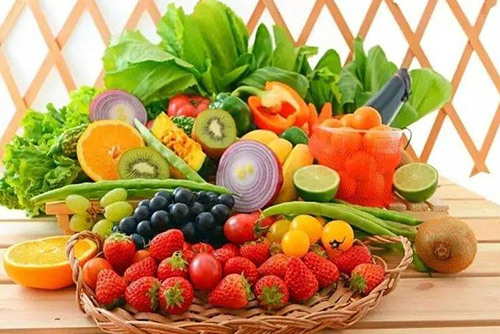 PLANT NUTRITION