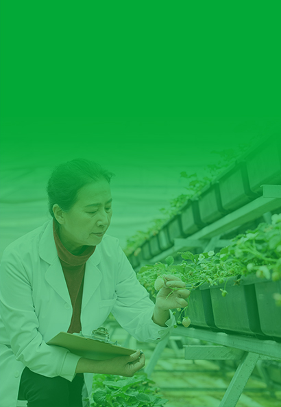 Agricultural Service