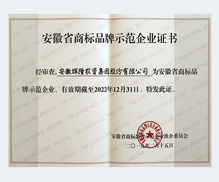 Anhui Province trademark brand demonstration enterprise