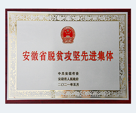 Anhui poverty alleviation advanced collective
